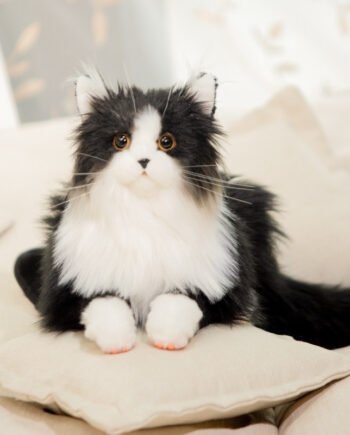 Simulation Cat Doll Children's Plush Toys Children's Day Birthday Girl Gift Doll